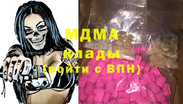 индика Осинники