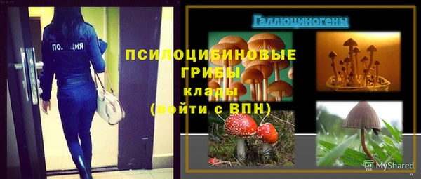 соль ск Беломорск