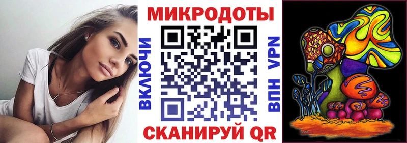 MEGA   Курчатов  Псилоцибиновые грибы Psilocybine cubensis 